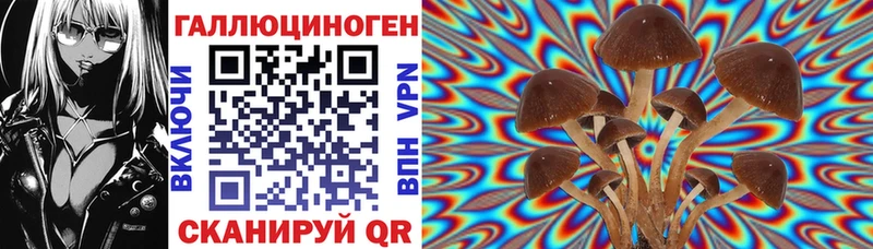 Галлюциногенные грибы мицелий  как найти наркотики  Арамиль 